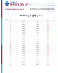 항체검사 결과보고서