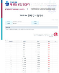 항체검사 결과보고서