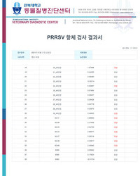 항체검사 결과보고서