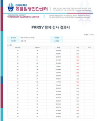 항체검사 결과보고서