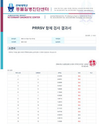 항체검사 결과보고서